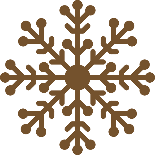 copo-de-nieve (2)
